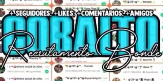 Imagem do grupo de WhatsApp 👑•TRIAGEM COBALTO•🔥