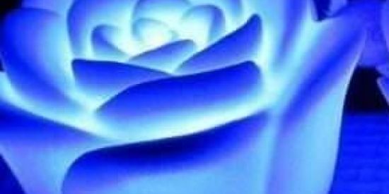 Imagem do grupo de WhatsApp ✿Necessidade do Amar✿