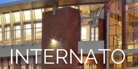 Imagem do grupo de WhatsApp Internato(fanfic)