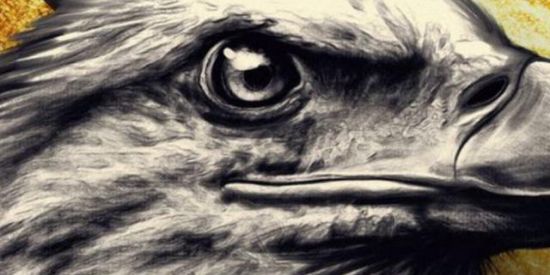 Imagem do grupo de WhatsApp ✨JOVENS DE SUCESSO ✨ #2