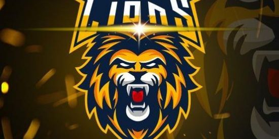 Imagem do grupo de WhatsApp TTK LIONS ꚠ RECRUTAMENTO