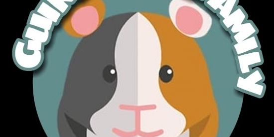 Imagem do grupo de WhatsApp Guinea Pig_Family ❤️🐷