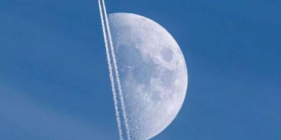 Imagem do grupo de WhatsApp SPACEFOX