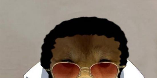 Imagem do grupo de WhatsApp φяμק๏  ∂๏  ђลקý 😜