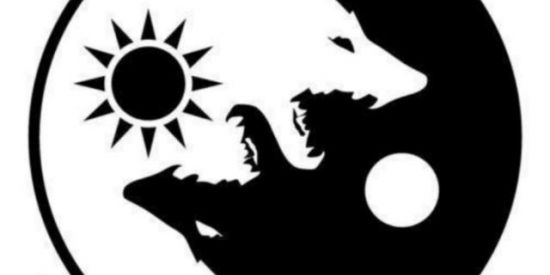 Imagem do grupo de WhatsApp 𖥂MDZ TEAM𖥂