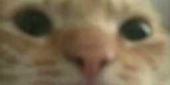 Imagem do grupo de WhatsApp Shitpost 🔞