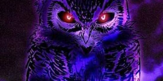 Imagem do grupo de WhatsApp Corujões.