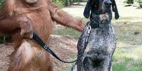 Imagem do grupo de WhatsApp 🔥PƏŘĐIÇÃØ🔥