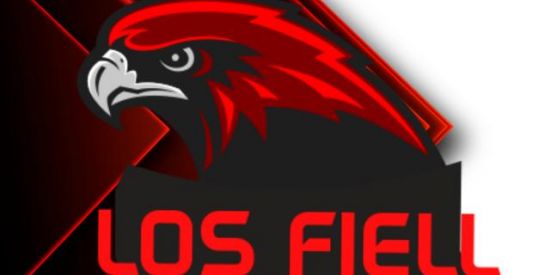 Imagem do grupo de WhatsApp LOS FIELヅ