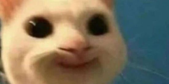 Imagem do grupo de WhatsApp 🤨