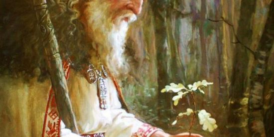 Imagem do grupo de WhatsApp REVEALED NATURE