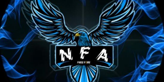 Imagem do grupo de WhatsApp DIARIO  NFA👊