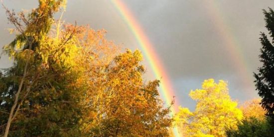 Imagem do grupo de WhatsApp Amizades Coloridas