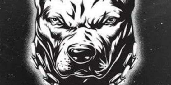 Imagem do grupo de WhatsApp Família pitbull🐶