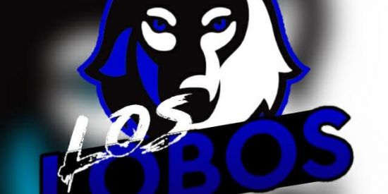 Imagem do grupo de WhatsApp RECRUTAMENTO LOS LOBOS 🐺💙
