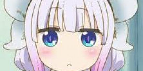 Imagem do grupo de WhatsApp Grupo aleatorio