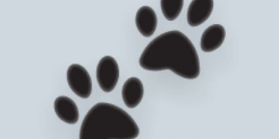 Imagem do grupo de WhatsApp Meu grup