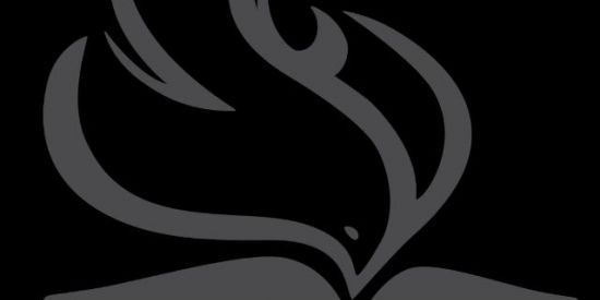 Imagem do grupo de WhatsApp Juntos somos Igreja.