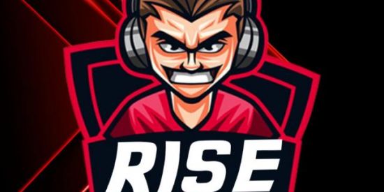 Imagem do grupo de WhatsApp ❗ RISE™❗