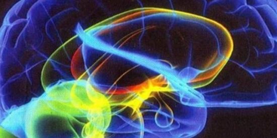 Imagem do grupo de WhatsApp 💫 Consciência Ativa💫