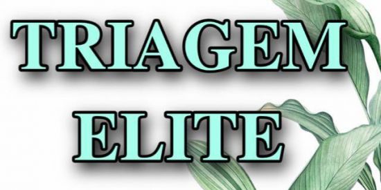 Imagem do grupo de WhatsApp ⚜️тяιαgєм єlιтє🍃