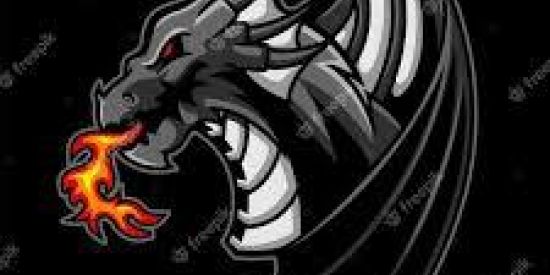 Imagem do grupo de WhatsApp Black Dragons Recrutamento🐉