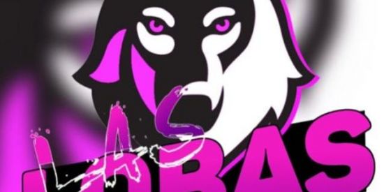 Imagem do grupo de WhatsApp RECRUTAMENTO LAS LOBAS 🐺💜