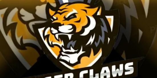 Imagem do grupo de WhatsApp 🐯TRIAGEM🐯