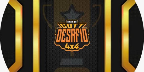 Imagem do grupo de WhatsApp CAMPEONATO DE 4V4 DA GØTT