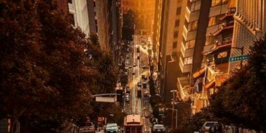 Imagem do grupo de WhatsApp Triagem ✧Rɠ'ร✧||Fénix⃤🌈