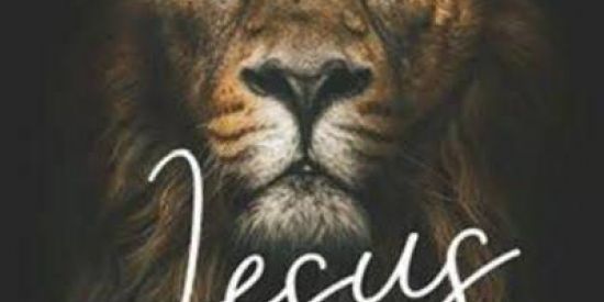 Imagem do grupo de WhatsApp O LEÃO DE JUDÁ🦁🦁