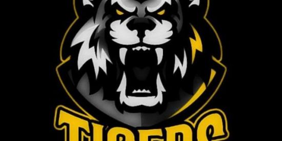 Imagem do grupo de WhatsApp TIGERS RECRUTAMENTO