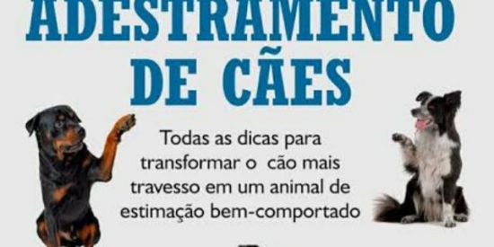 Imagem do grupo de WhatsApp Adestramento canino