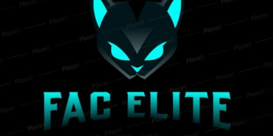 Imagem do grupo de WhatsApp FAC ELITE:163/DENUNCIA