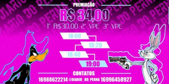 Imagem do grupo de WhatsApp DIÁRIO DO PERNA