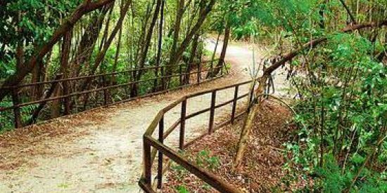 Imagem do grupo de WhatsApp Ansiedade - TAG. 🤝🏼🤝🏼🙌🏼