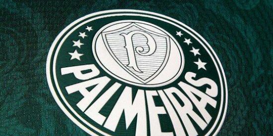 Imagem do grupo de WhatsApp Palmeiras