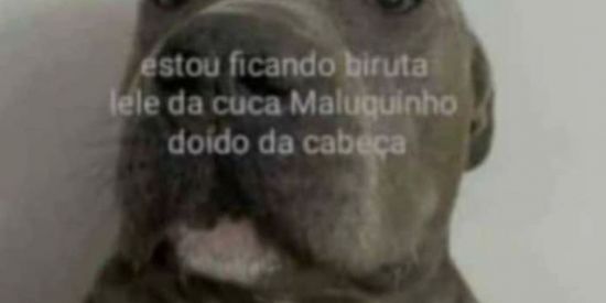Imagem do grupo de WhatsApp União dos santana
