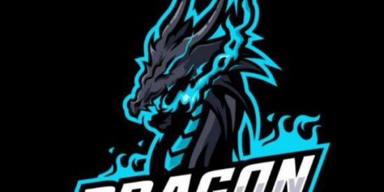 Imagem do grupo de WhatsApp XTREINO DRAGON