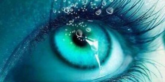 Imagem do grupo de WhatsApp 🚀vizualizaçoes de status🚀