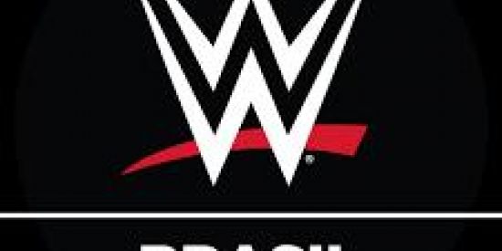 Imagem do grupo de WhatsApp WWE Brasil 🥊