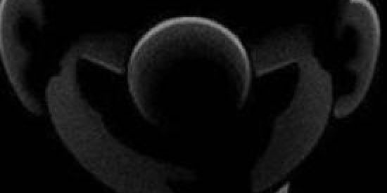 Imagem do grupo de WhatsApp ╭༼AGIOTAS ༽╮