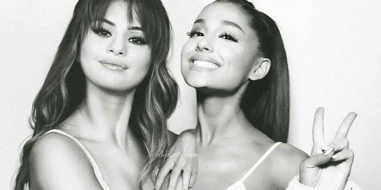 Imagem do grupo de WhatsApp selenators 👑arianator