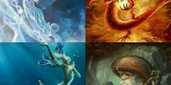 Imagem do grupo de WhatsApp MAGIA NATURAL