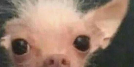 Imagem do grupo de WhatsApp Gp de amizades