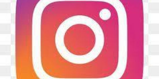 Imagem do grupo de WhatsApp Instagram Orgânico ✅