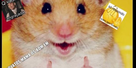 Imagem do grupo de WhatsApp ᴢᴜᴇɪʀᴀ sᴇᴍ ʟɪᴍɪᴛᴇs