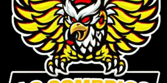 Imagem do grupo de WhatsApp GUILD LS SOMBRIOS