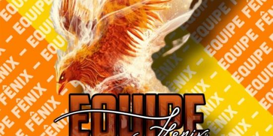 Imagem do grupo de WhatsApp 🌋🔥TRIAGEM FÊNIX🔥🌋