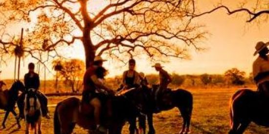 Imagem do grupo de WhatsApp calvalgada - cascavel🏇